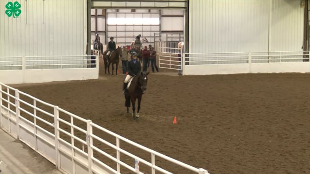 Saddleseat & English Equitation_63