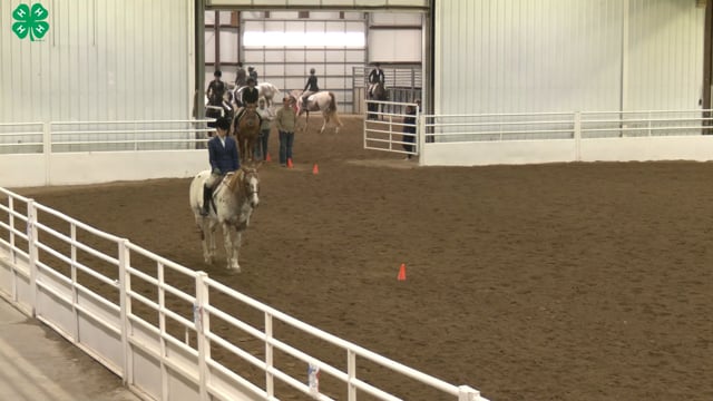Saddleseat & English Equitation_87