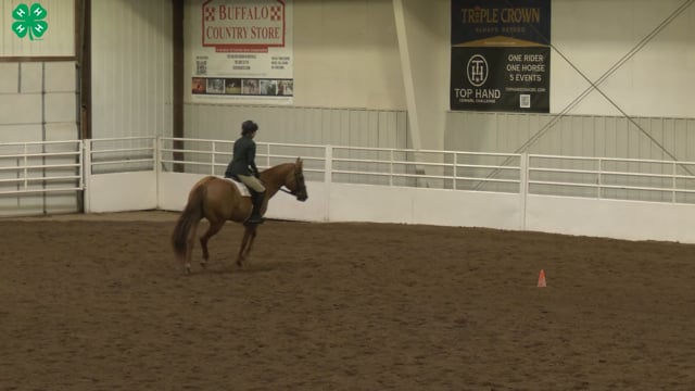 Saddleseat & English Equitation_88