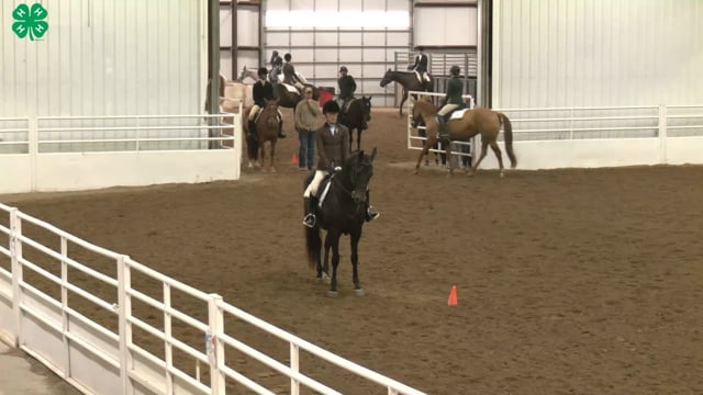 Saddleseat & English Equitation_89