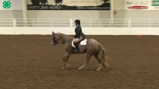 Saddleseat & English Equitation_9