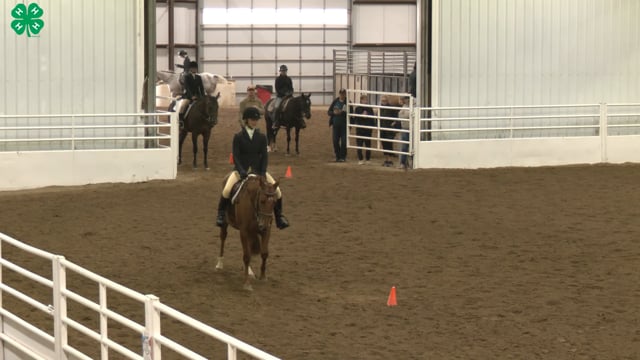 Saddleseat & English Equitation_90