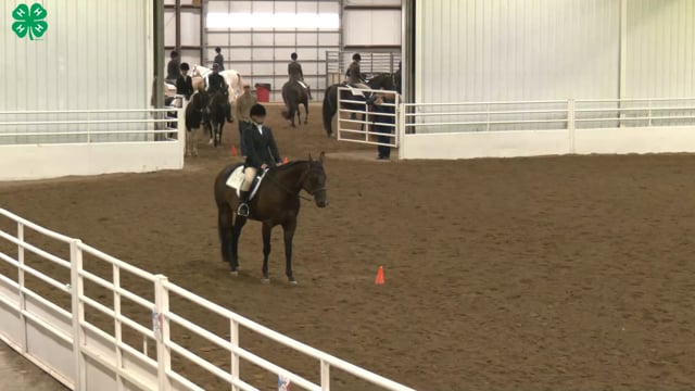 Saddleseat & English Equitation_91