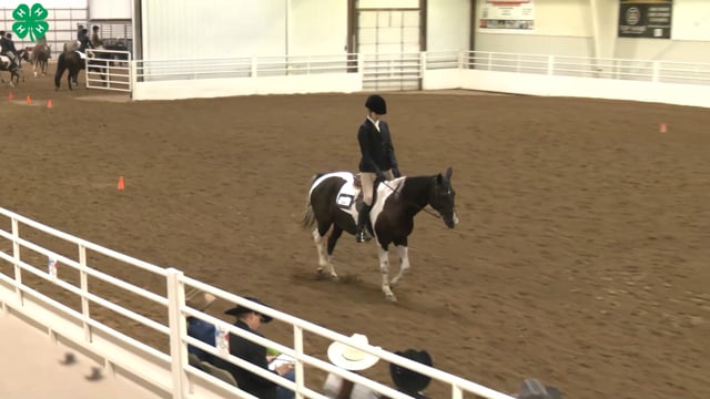 Saddleseat & English Equitation_92