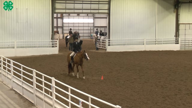 Saddleseat & English Equitation_94