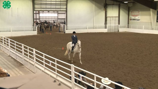 Saddleseat & English Equitation_95
