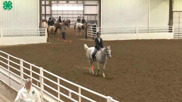 Saddleseat & English Equitation_96