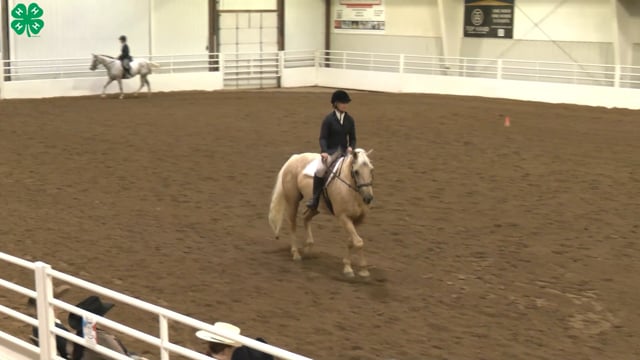 Saddleseat & English Equitation_97