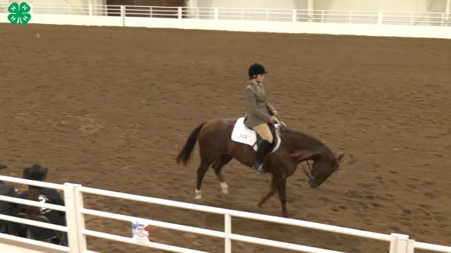 Saddleseat & English Equitation_98