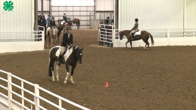 Saddleseat & English Equitation_99