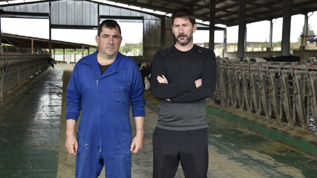 "Gando aporta hasta los datos del inseminador"