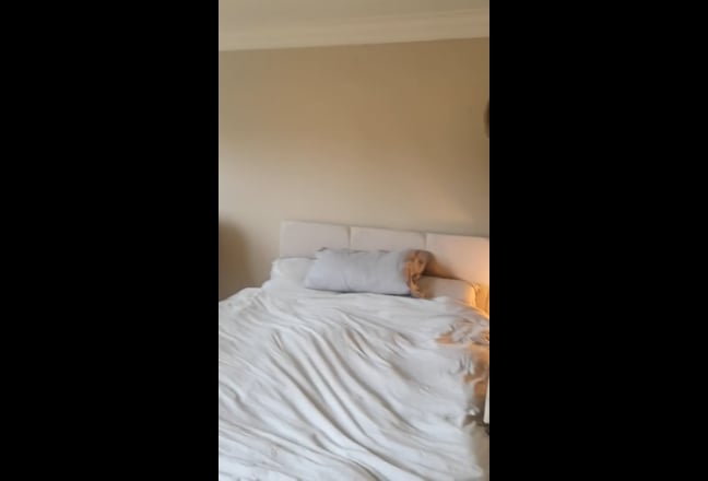 Video 1: