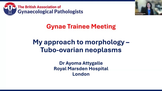 My approach to morphology - tubo-ovarian neoplasms