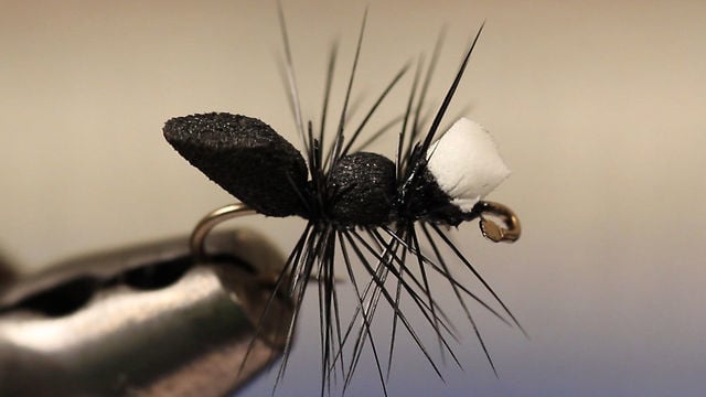 Foam Ant - Image source: Tightline Productions