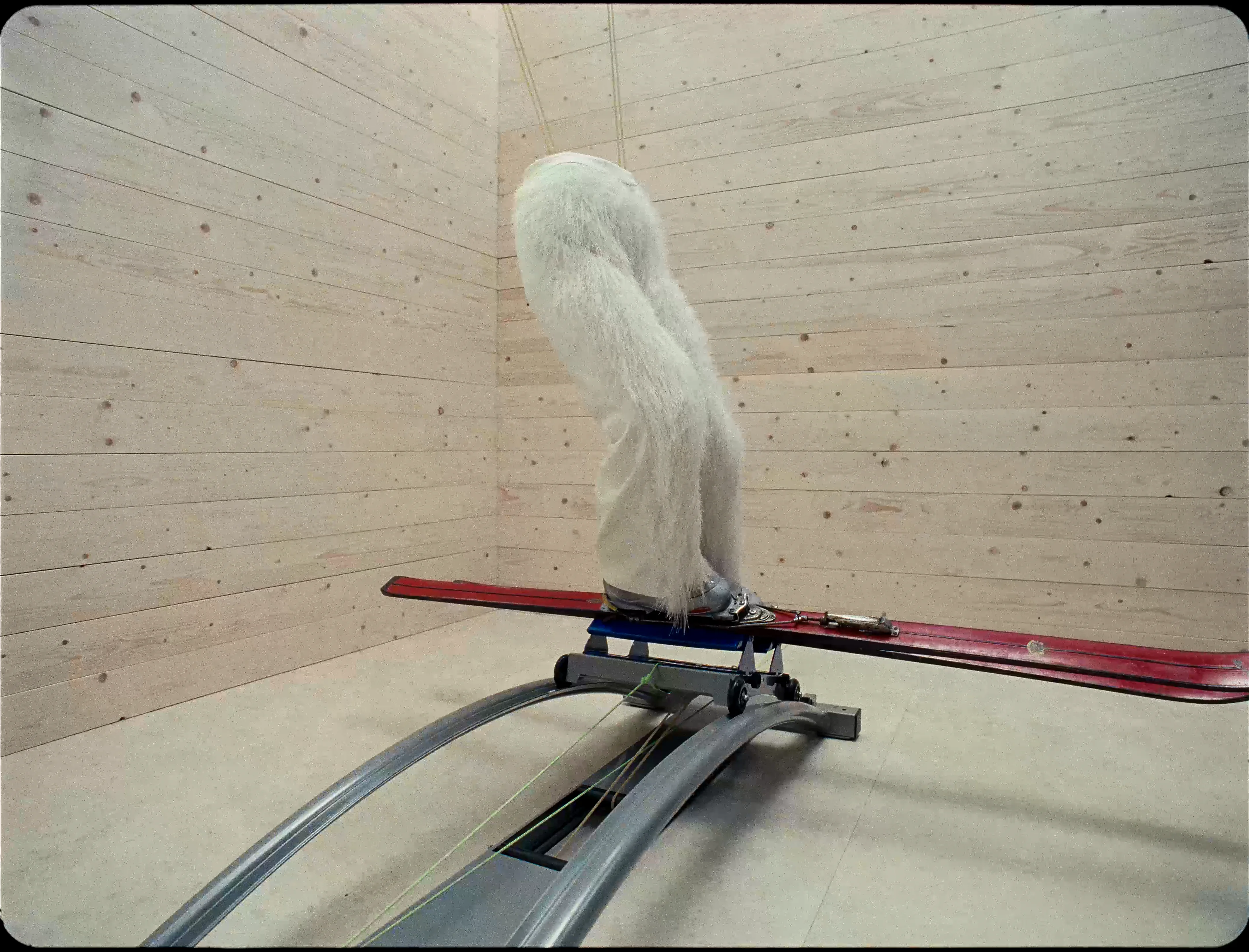 Motion — Lisa Jahovic, Mini Title 2026