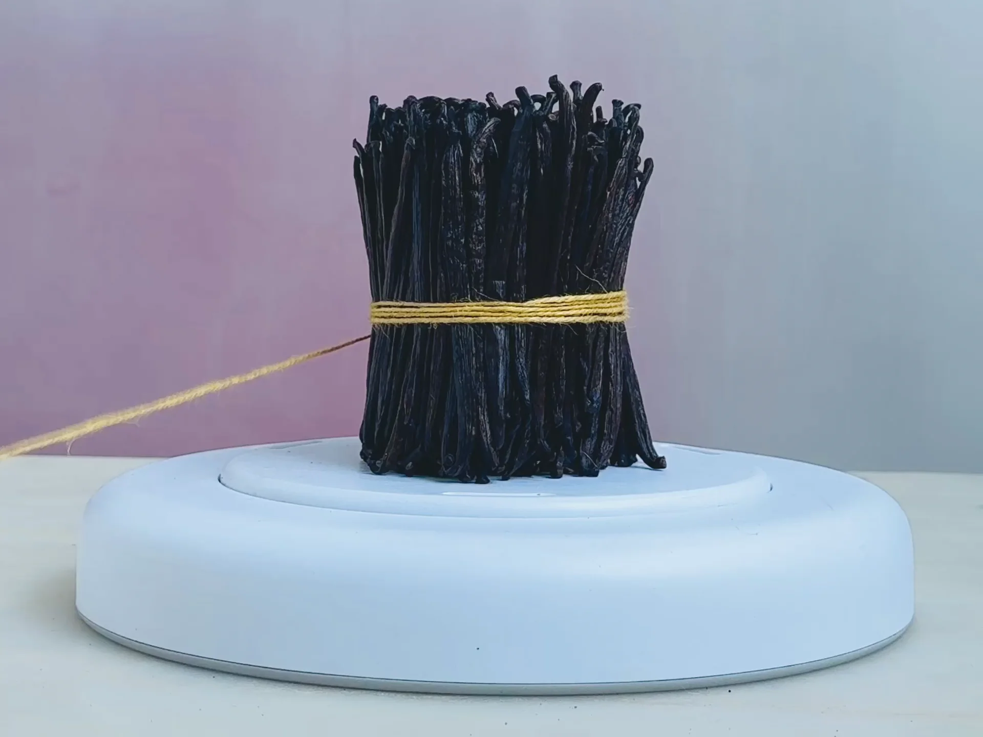 Motion — Lisa Jahovic, Mini Title 2025