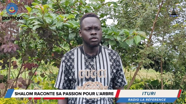 Shalom : la forêt au cœur