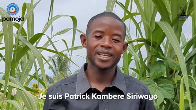 Un point sur les problèmes d’assainissement