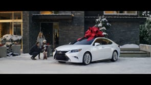 Lexus DSE  Snowglobe