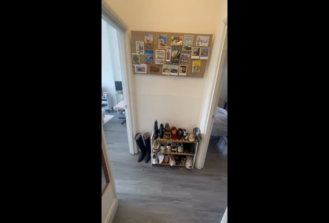 Video 1: