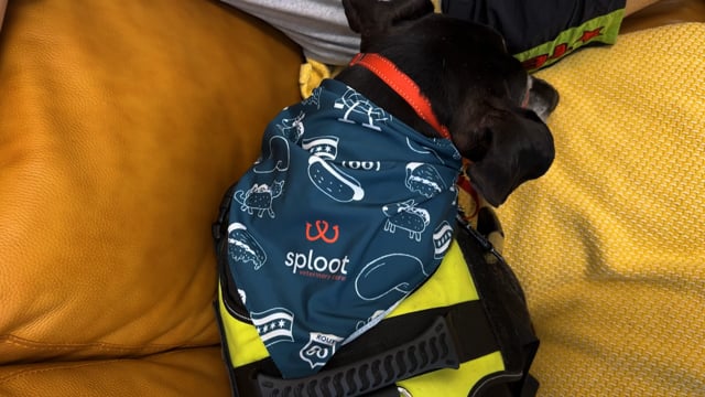 Sploot | Grace - horizontal (no captions + frame)