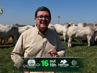 Convite TJG<br>Daniel de Paula