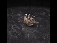 80369 - Magnetite