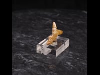 80419 - Mimetite