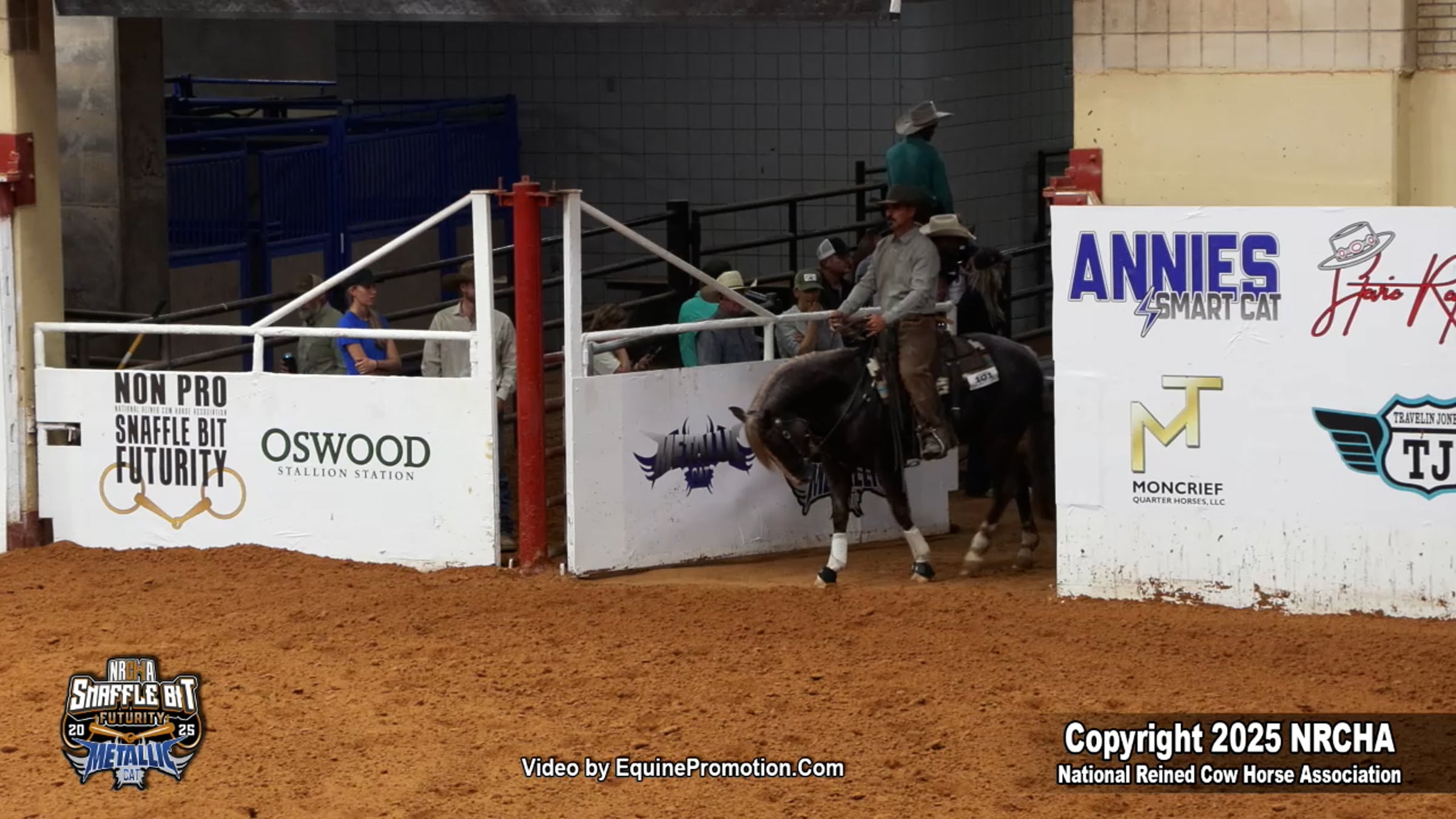 THA RIZZLER shown by NICHOLAS S. DOWERS - 2025 NRCHA Snaffle Bit ...