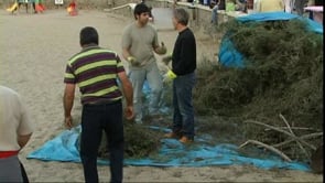 Primer dia venda de castanyes del CER