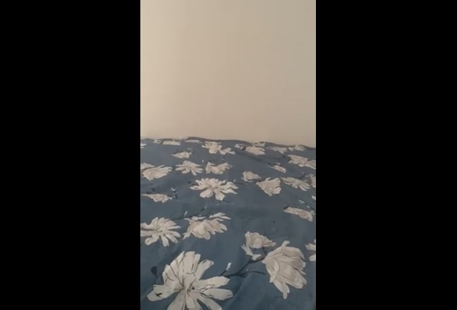Double room rent for female  Main Photo