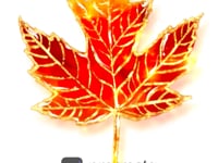 Procreate Gold Autumn Metallic Brush, a Brush Add-On by Fashion Workshop Bkk (Thumbnail 4 of 13)