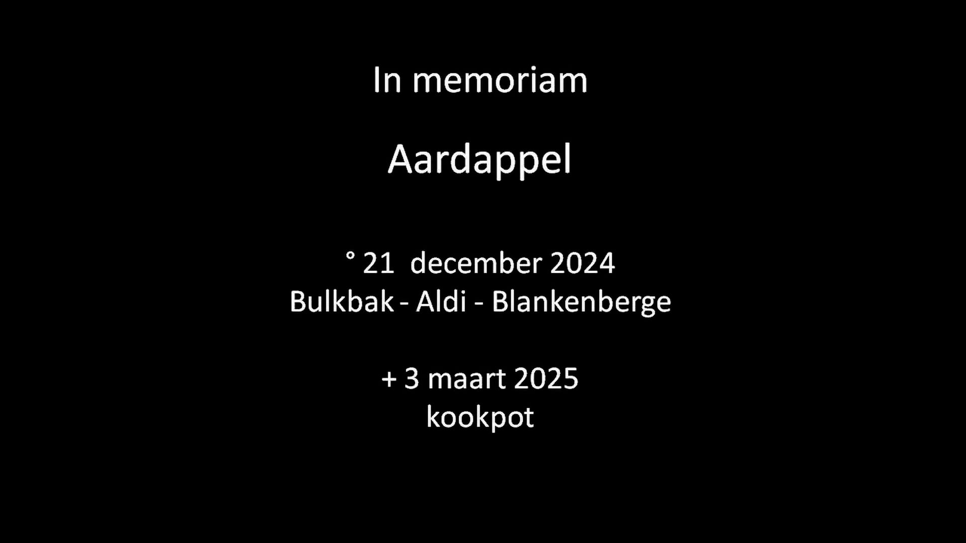 Pjes Unik - Coeur Blessé - sequel - vergang en relativering