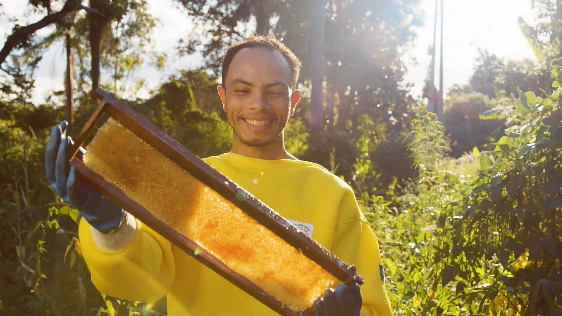 Local Hive Honey - Real Beekeepers Real Impact
