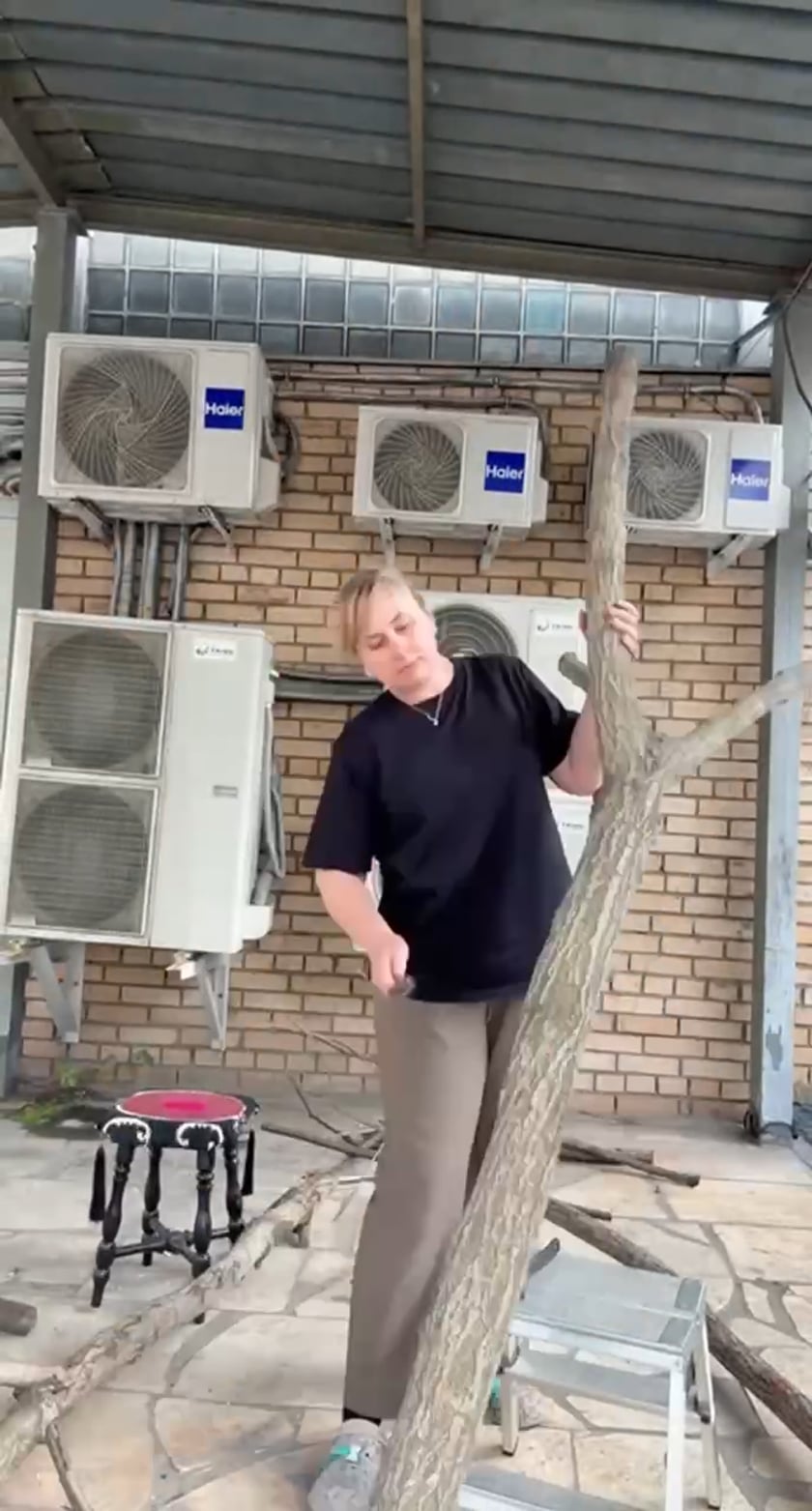 2066485016 afeeb52995fbe15e3aa15797c73d82f80920a291b1b7592922d784b5af1a53d9 d 840?region=us