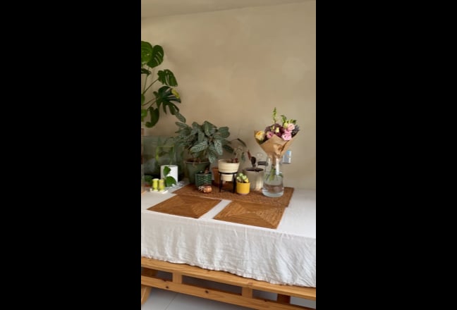 Video 1: