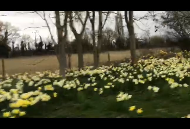 Video 1: