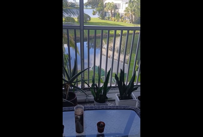 Female or male roommate with no car preferr i  NMB Main Photo