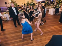 Party -- Dance Dance