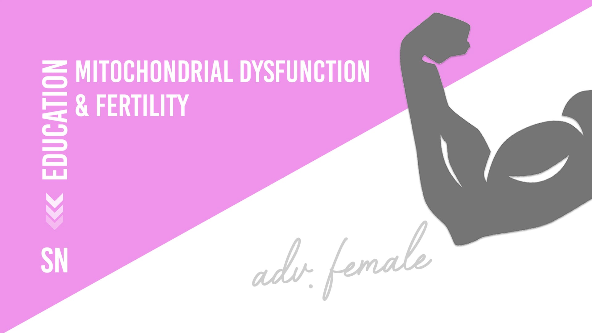 Mitochondrial Dysfunction and Fertility