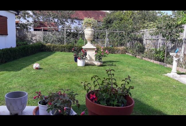 🏡Spacious Luxury⚜️Oxford & Science Vale💐 Main Photo