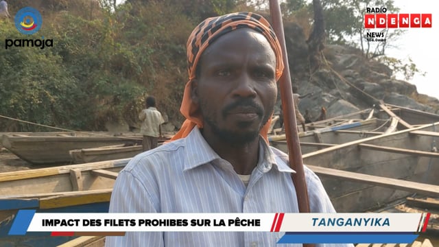 Impact des filets prohibés