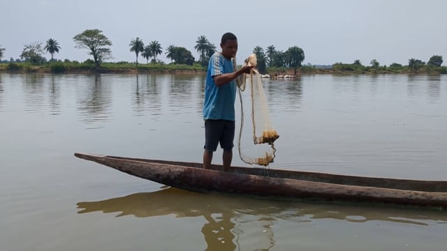 Le fleuve Congo perd ses poissons