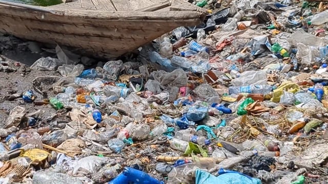 Poissons au milieu des plastiques