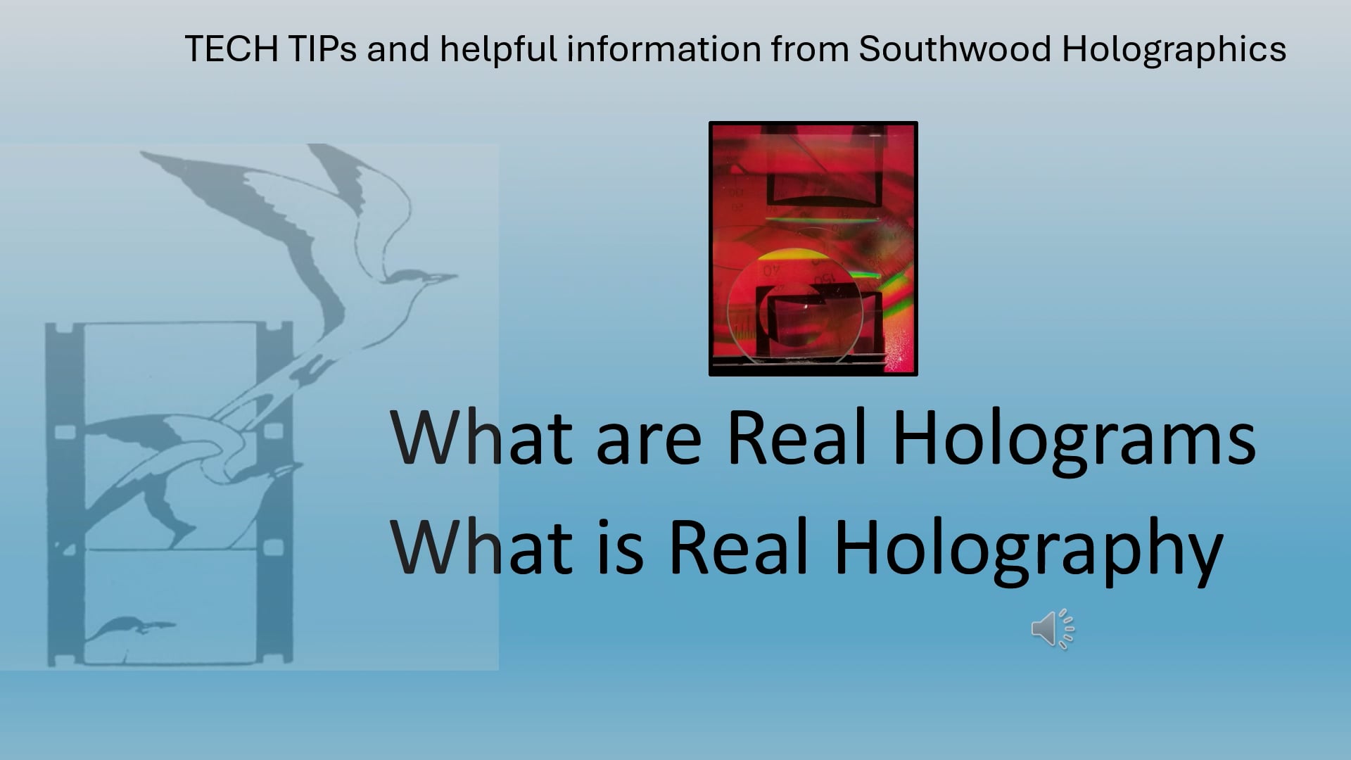 Definitions of Real Holograms and Real Holography