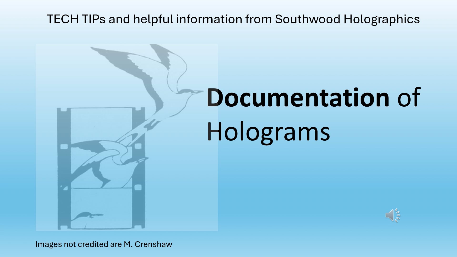 Documentation of Holograms