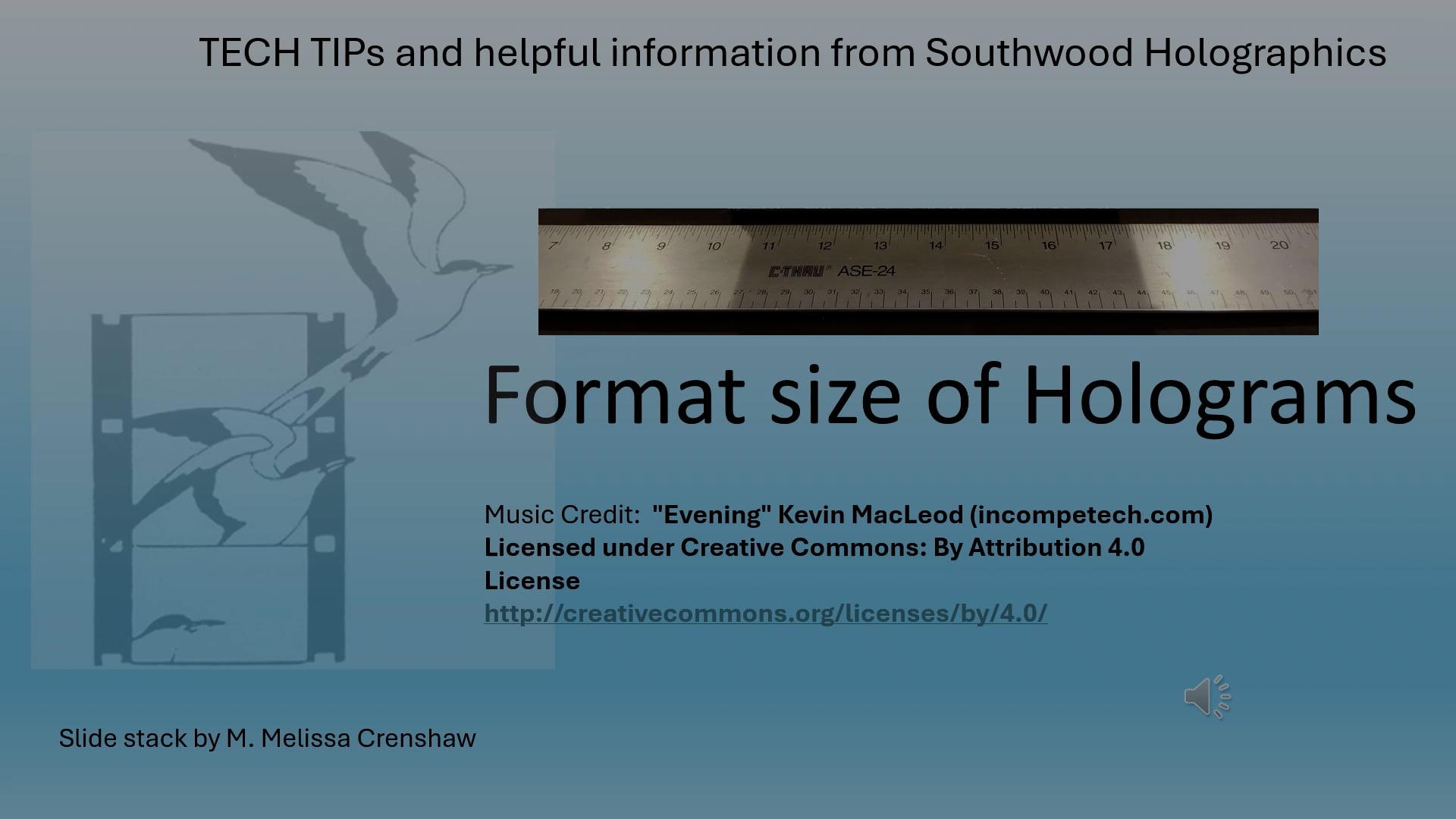 Format sizes of Holograms