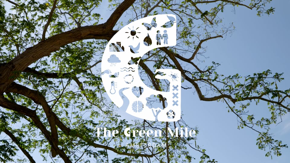 Cleanup The Green Mile  : 200 kg of litter!