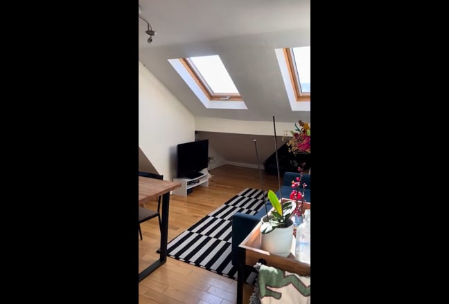 Video 1: