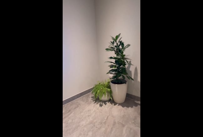 Luxury Apartment  Main Photo
